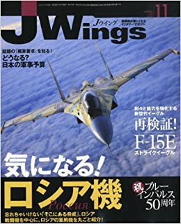 15175-1011 雑誌 J-Wings 2010年 11月号 (ジェイウイング) イカロス出版    
