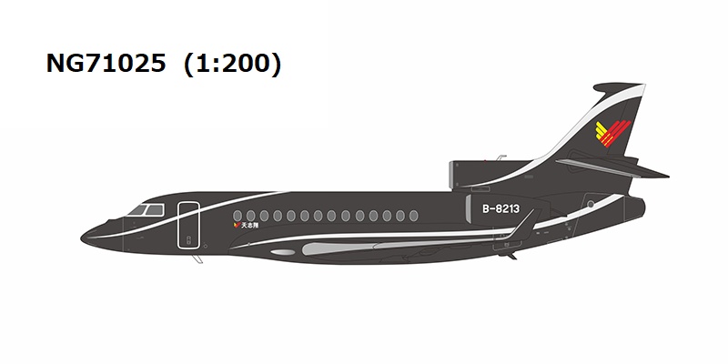 NG71025 NG MODELS Deer Jet (Private) / ディアジェット 