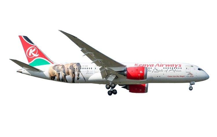 11950 Phoenix Kenya Airways / ケニア航空 B787-8 5Y-KZD 1:400 お取り寄せ Phoenix 1:400 Kenya Airways / ケニア航空 787-8 亜鉛ダイキャスト製