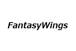 FantasyWings 空港アクセサリー