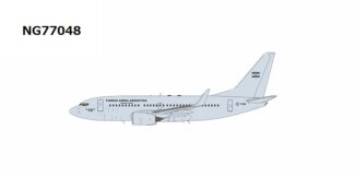 NG77048 NG MODELS Argentina Air Force / アルゼンチン空軍 B737-700 T-99 1:400 お取り寄せ