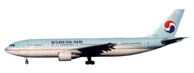 大韓航空 Korean Air スターバックス コラボ 商品 模型・プラモデル