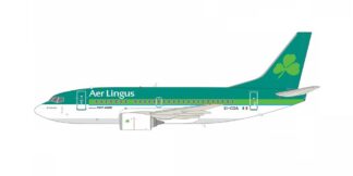 735EI0924 IN Flight200 Aer Lingus / エアリンガス B737-500 EI-CDA スタンド付き 1:200 予約