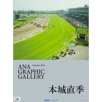 2026ANA10 2026年度版 カレンダー ANA 壁掛 グラフィックギャラリーカレンダー 本城直季 594×420mm 12枚 予約