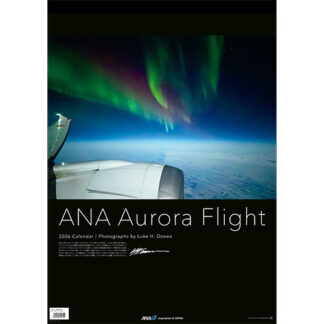 2026ANA22 2026年度版 カレンダー ANA 壁掛 オーロラフライトカレンダー 594×420mm 12枚 予約