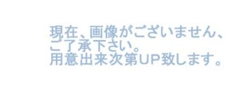 XX40844 JC WING Qatar Airways / カタール航空 Formula 1 B777-300ER A7-BEG 1:400 予約